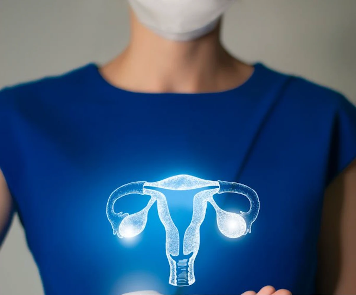 Ilustración del aparato reproductor femenino, representando el protocolo de rejuvenecimiento ginecológico